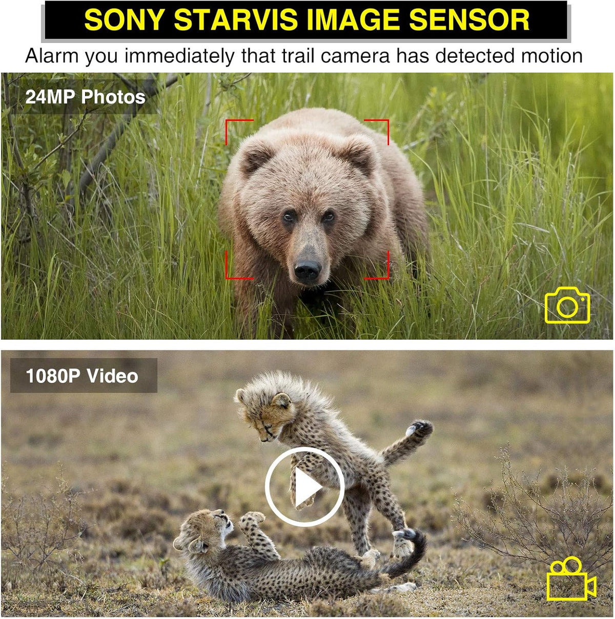 Trail Camera with Night Vision Motion Activated Waterproof Wildlife Camera Pack of 2 M6696