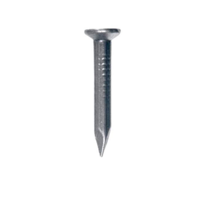 20D Masonry Nail N360