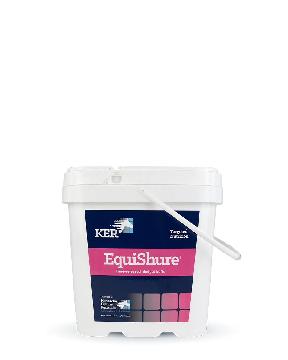 EquiShure 40lb T7931
