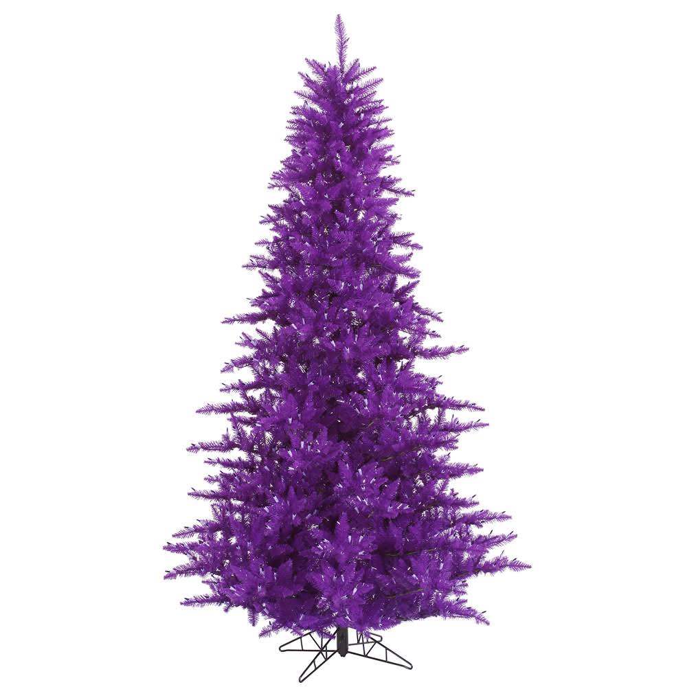 Purple Fir Tree R631