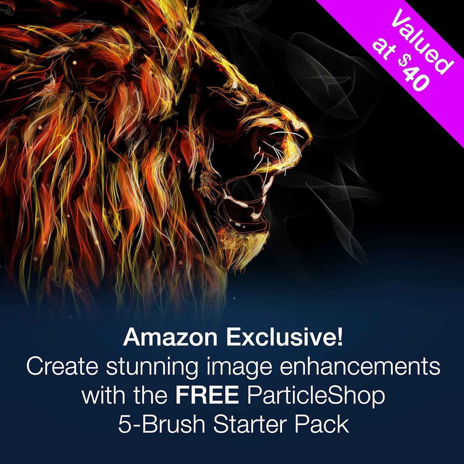 Photo Editing & Graphic Design Software with Creative Bundle F545475