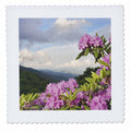 Quilt Square, 10 by 10-inch D603
