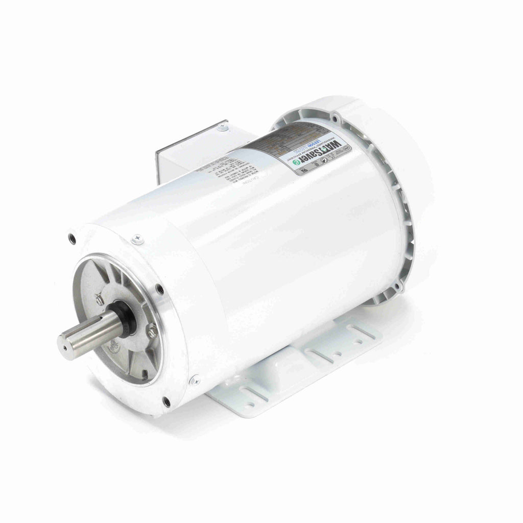 Washdown Motor I38901