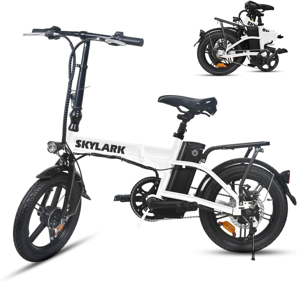 Folding Electric Bike 350W 36V 10AH Battery G3066