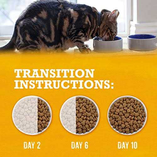 Grain Free White Meat Chicken & Egg Recipe Natural Dry Cat Food O50654