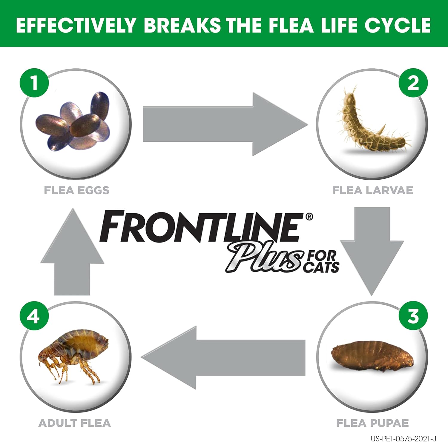 Flea and Tick Treatment for Cats Pack of 2 L2821