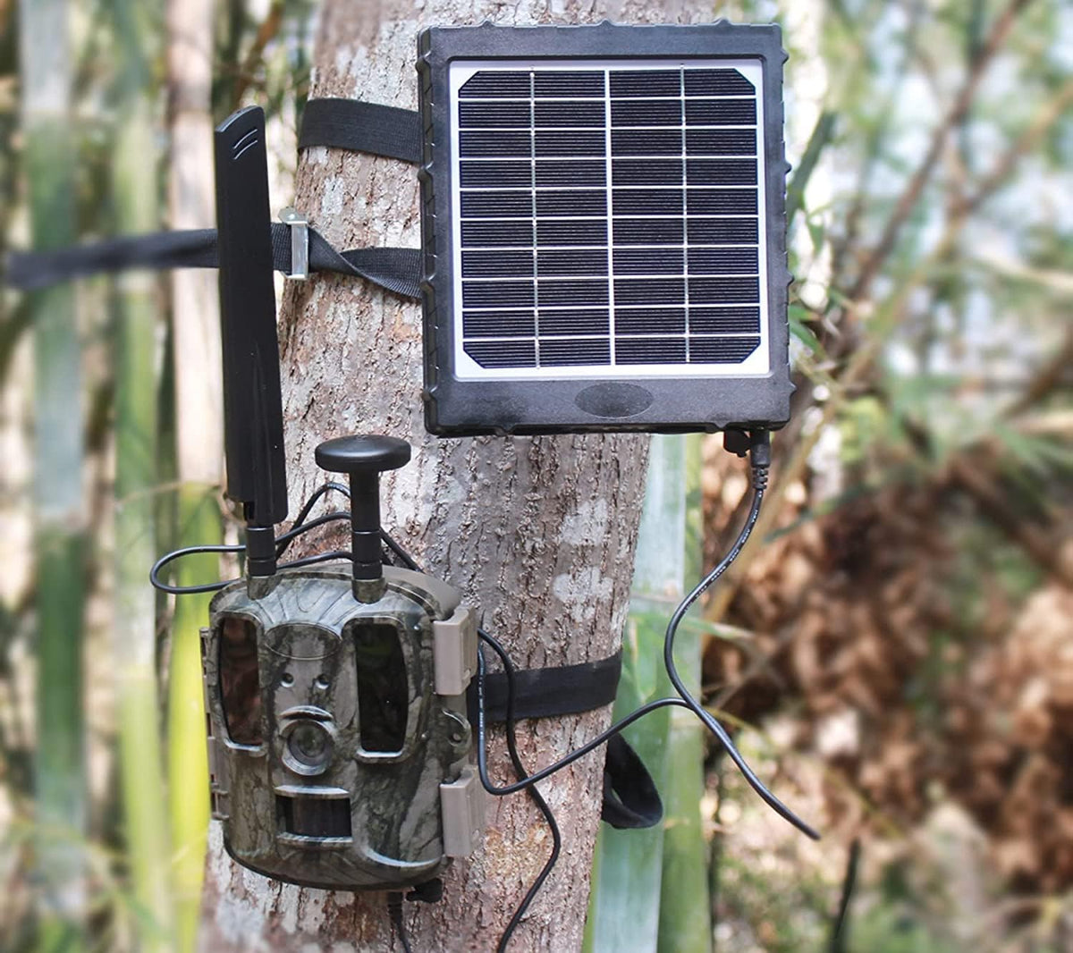 Trail Camera Solar Panel Kit 6V/9V/12V Output 8000 mAh Rechargeable Lithium Battery IP67 Waterproof Pack of 2 F3750