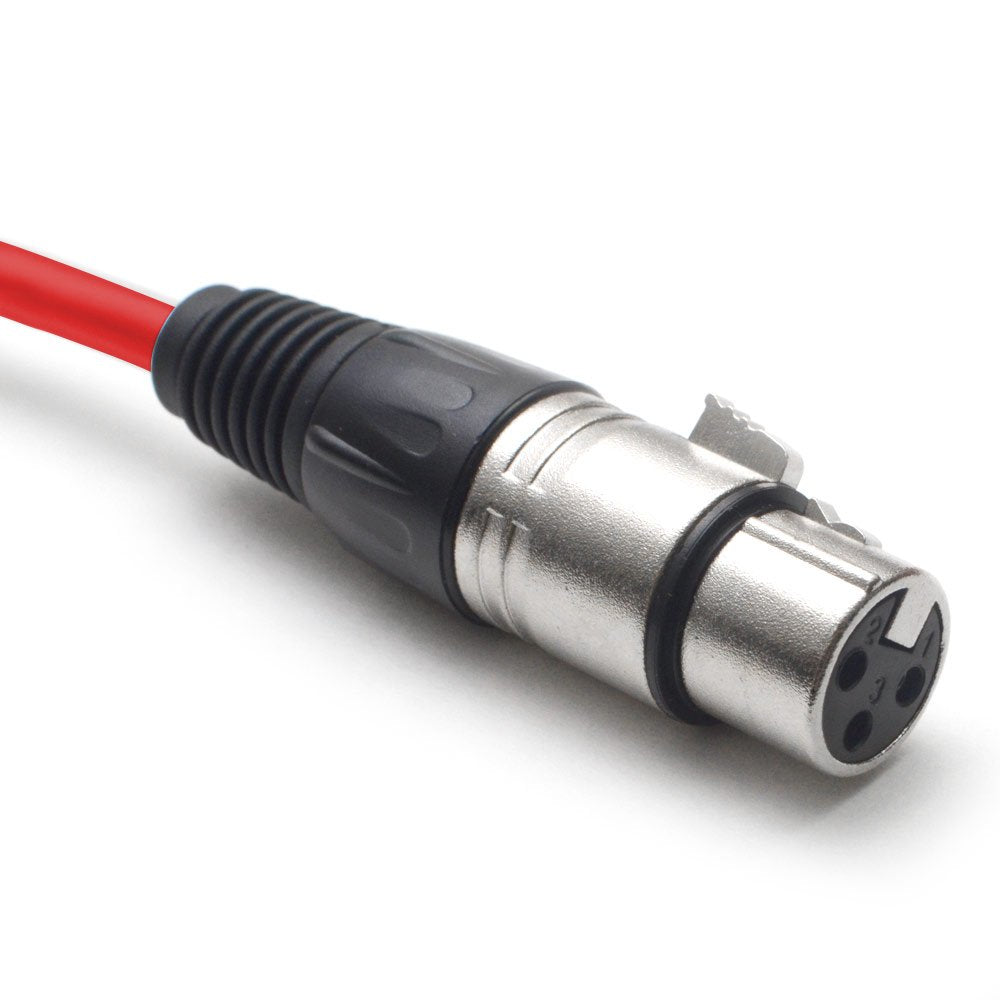 12-Channel XLR Snake Cable, 100-Feet F801
