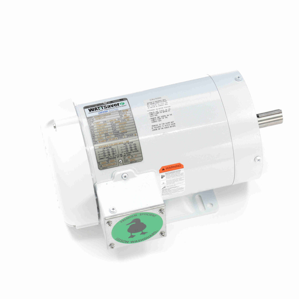 Washdown Motor I38901