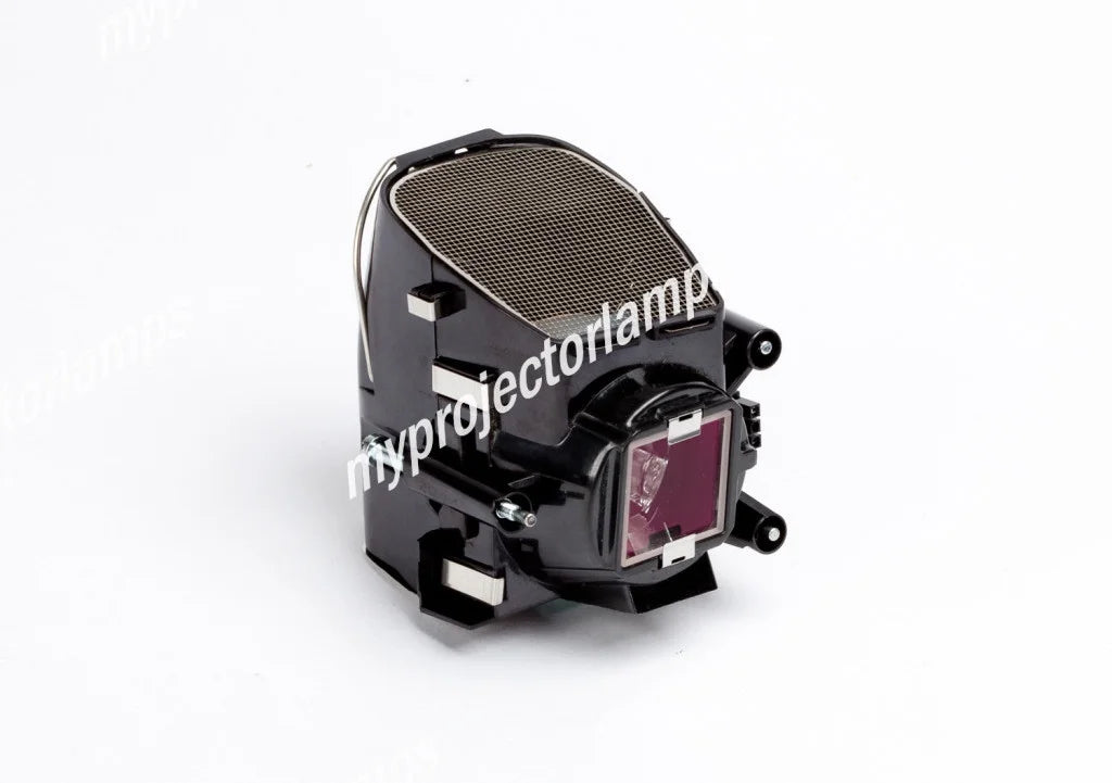 Projector Lamp with Module B46676