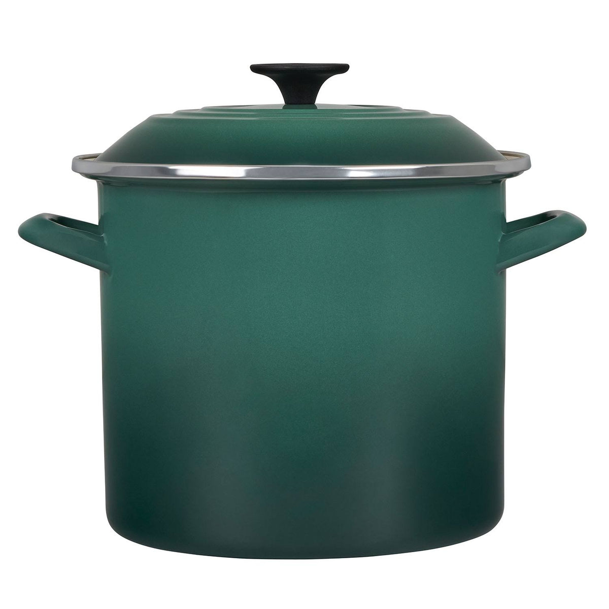 Indigo 8 Qt. Stockpot F316486