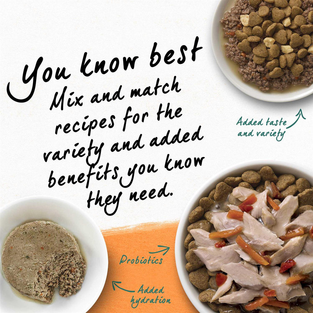 Grain Free White Meat Chicken & Egg Recipe Natural Dry Cat Food O50654