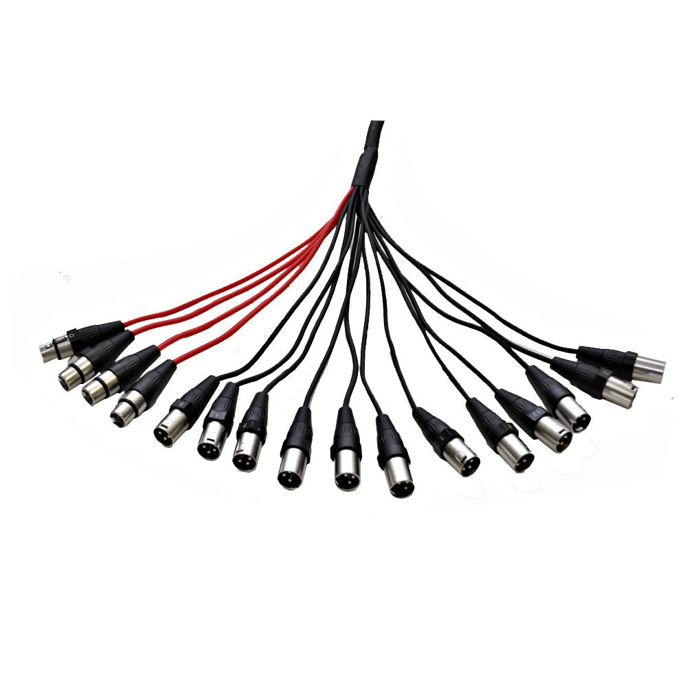 12-Channel XLR Snake Cable, 100-Feet F801
