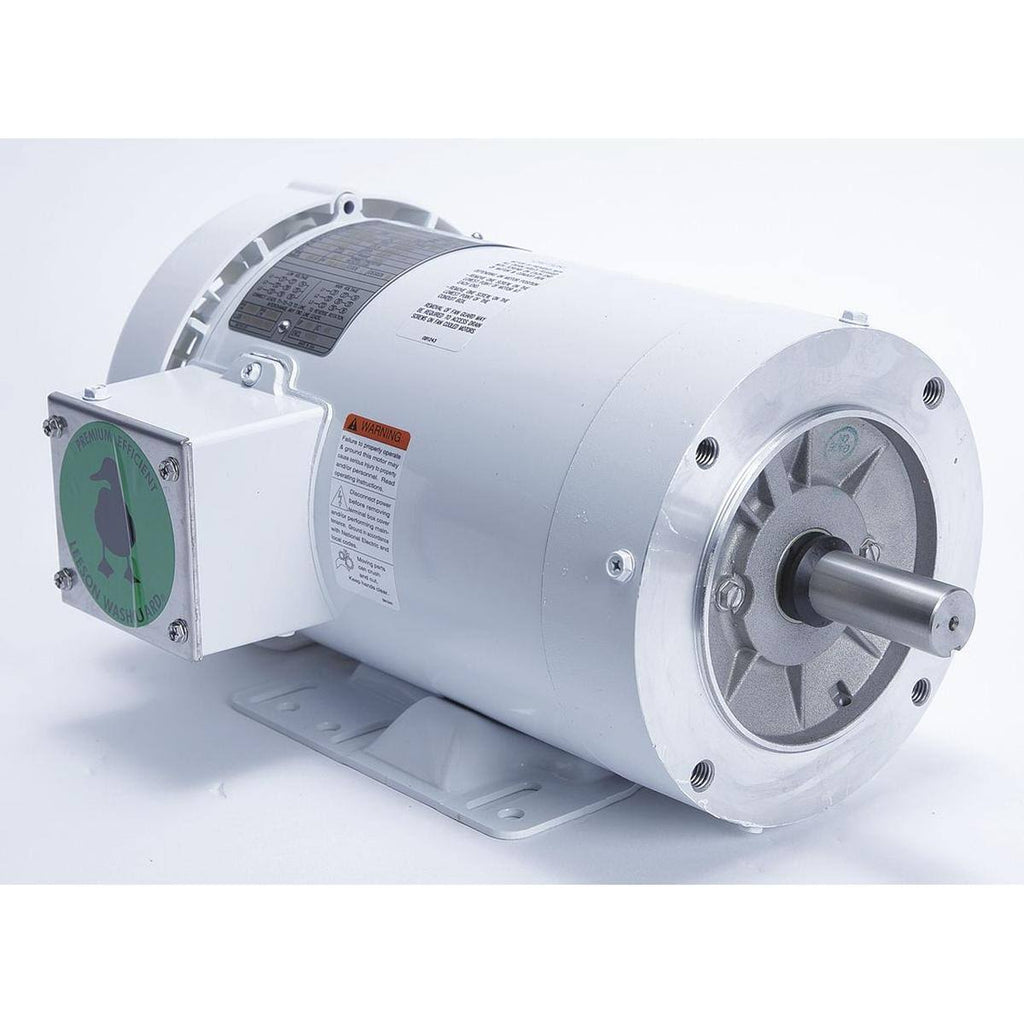 Washdown Motor I38901
