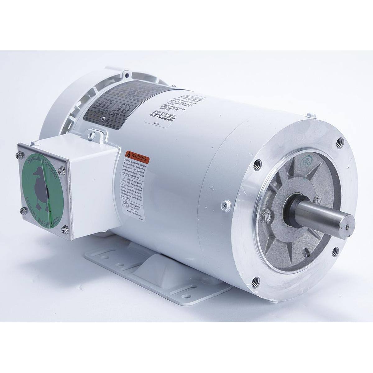 Washdown Motor I38901