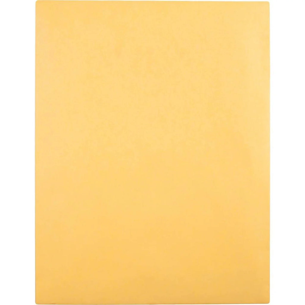 Brown Kraft Envelopes, 10 x 13, 100/Box R16869