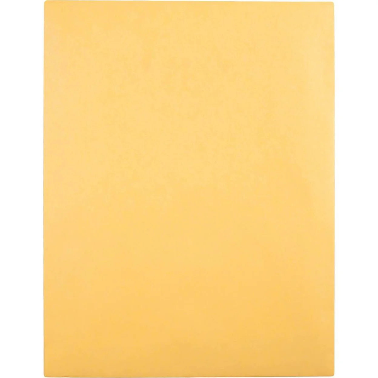 Brown Kraft Envelopes, 10 x 13, 100/Box R16869