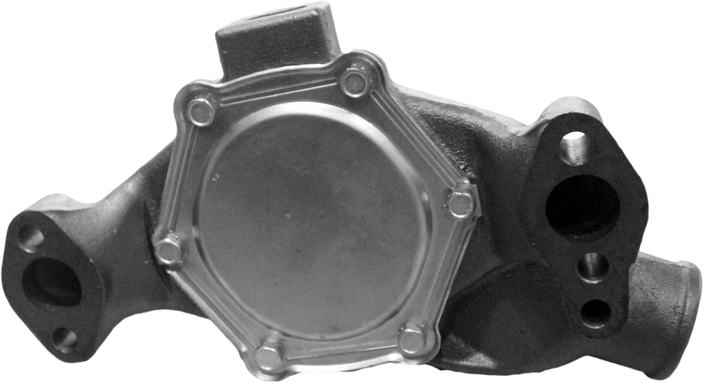 Engine Water Pump Pack of 2 T113946