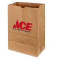 Paper Shopping Bag 500 Pk W1837