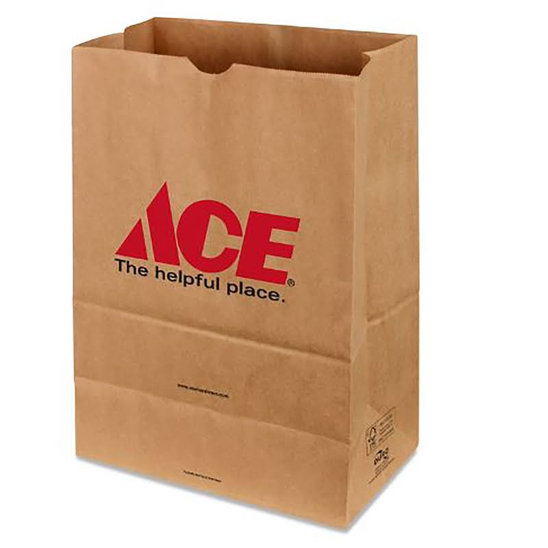 Paper Shopping Bag 500 Pk W1837