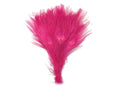 Hot Pink Bleached and Dyed Peacock Tail Eye Feathers M56431