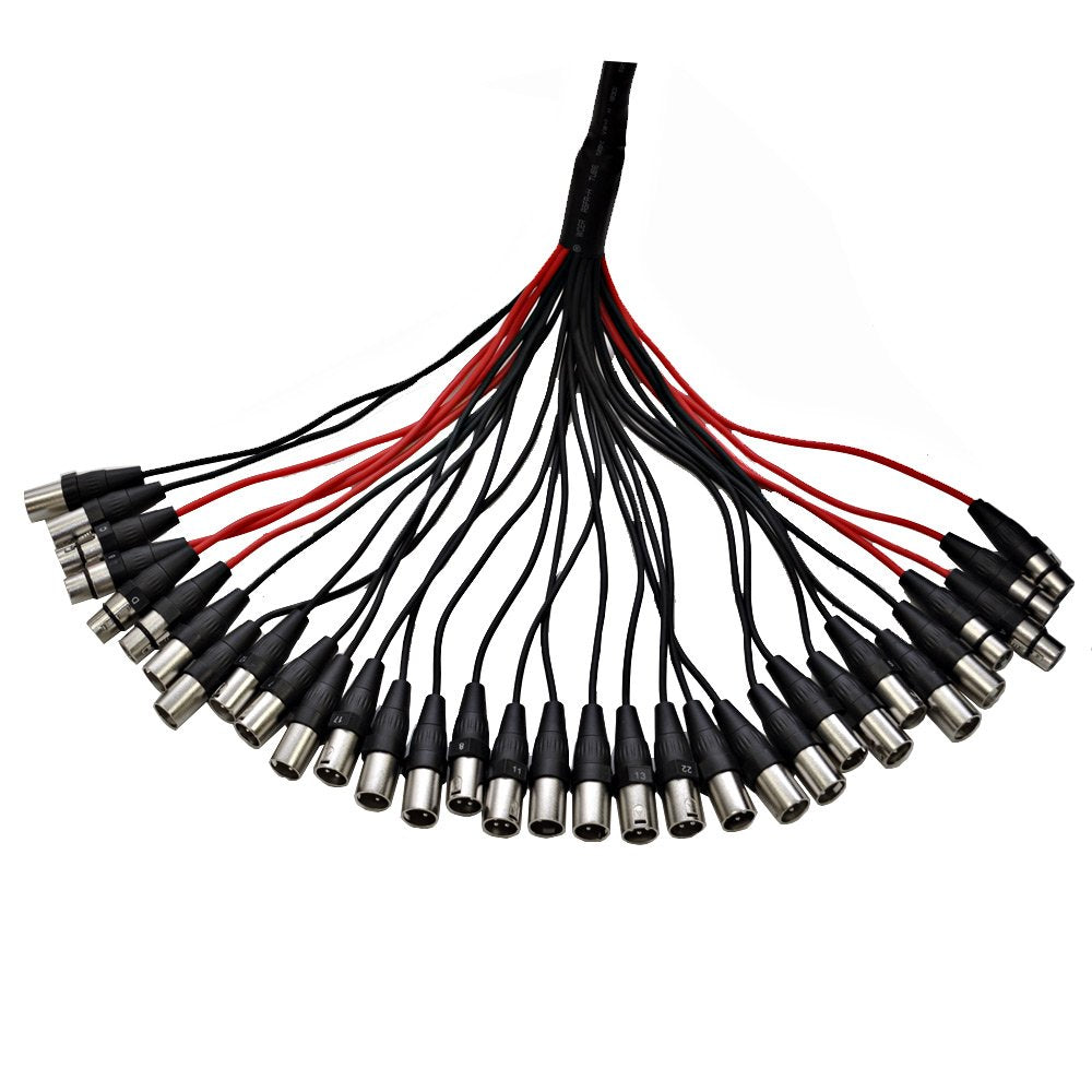 12-Channel XLR Snake Cable, 100-Feet F801