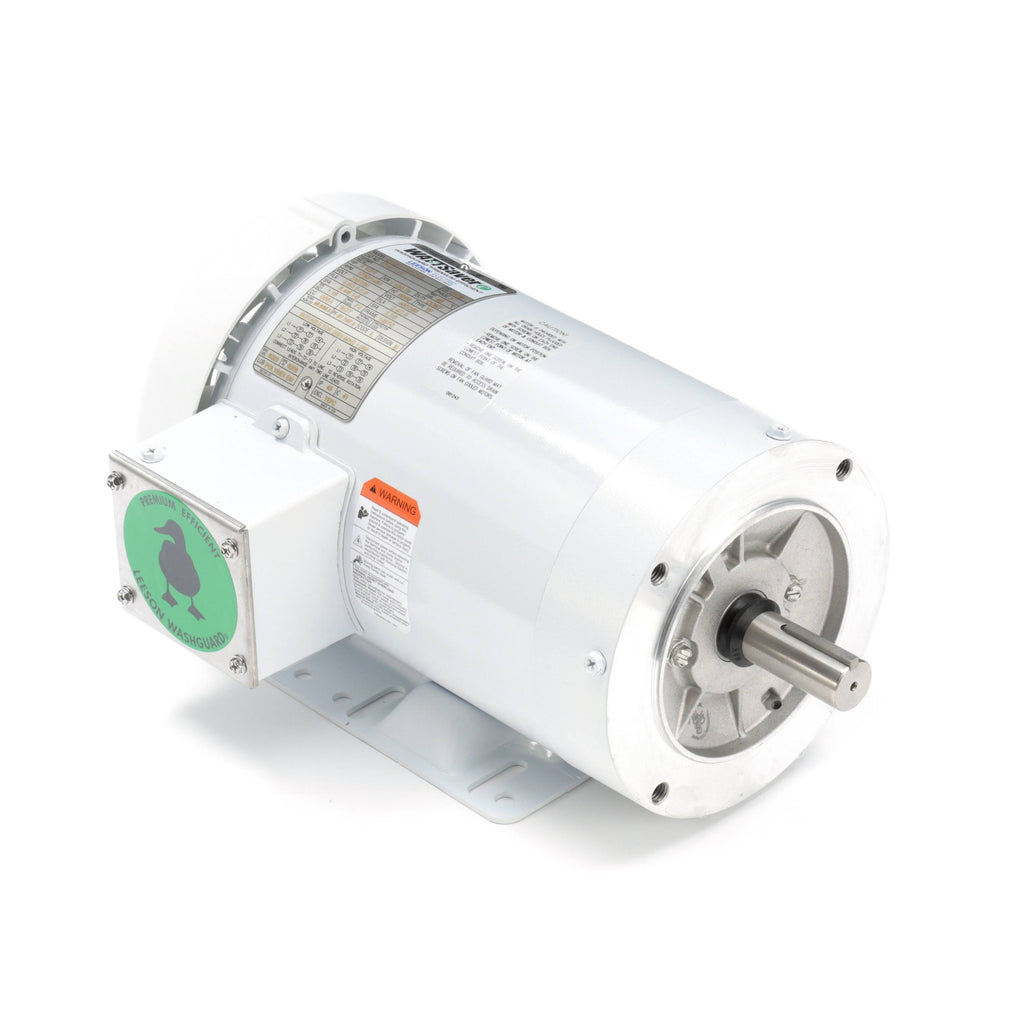 Washdown Motor I38901