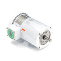 Washdown Motor I38901