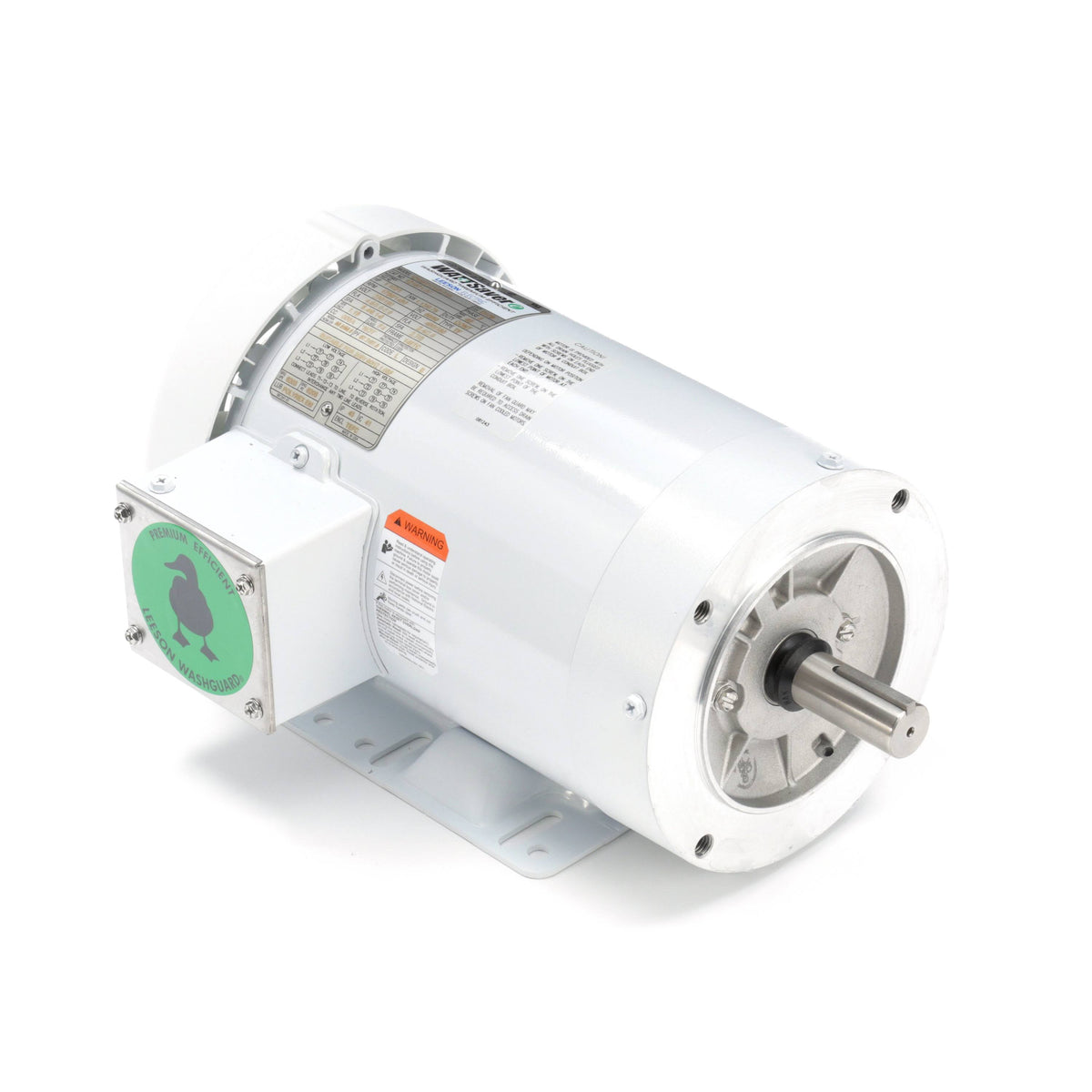 Washdown Motor I38901