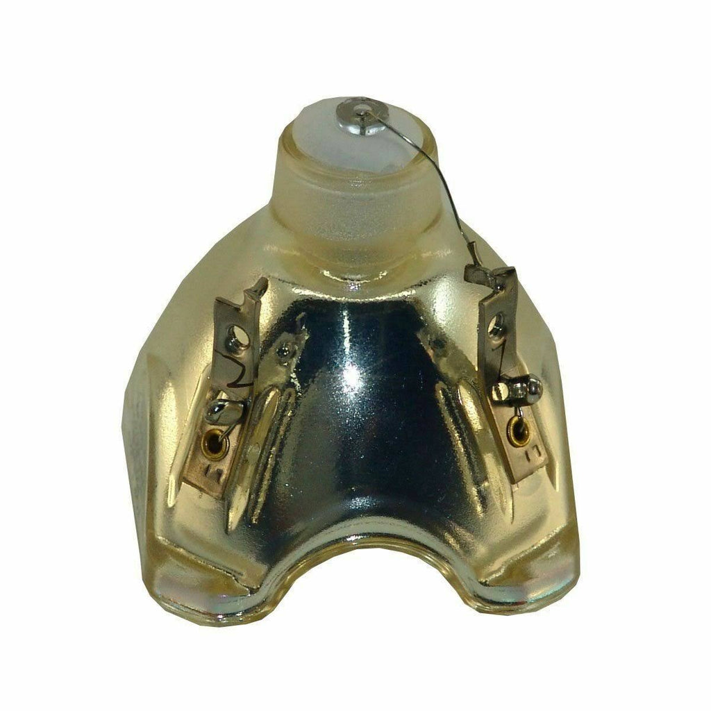 Projector Bare Lamp N805