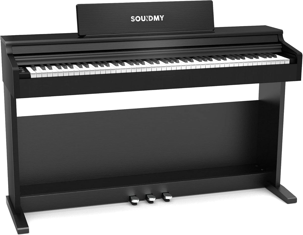 88-Key Weighted Hammer-Action Digital Piano W221