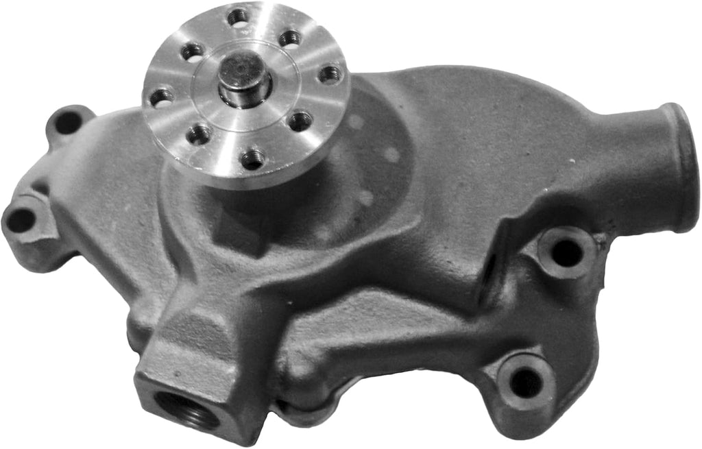 Engine Water Pump Pack of 2 T113946