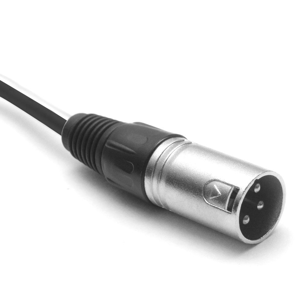 12-Channel XLR Snake Cable, 100-Feet F801