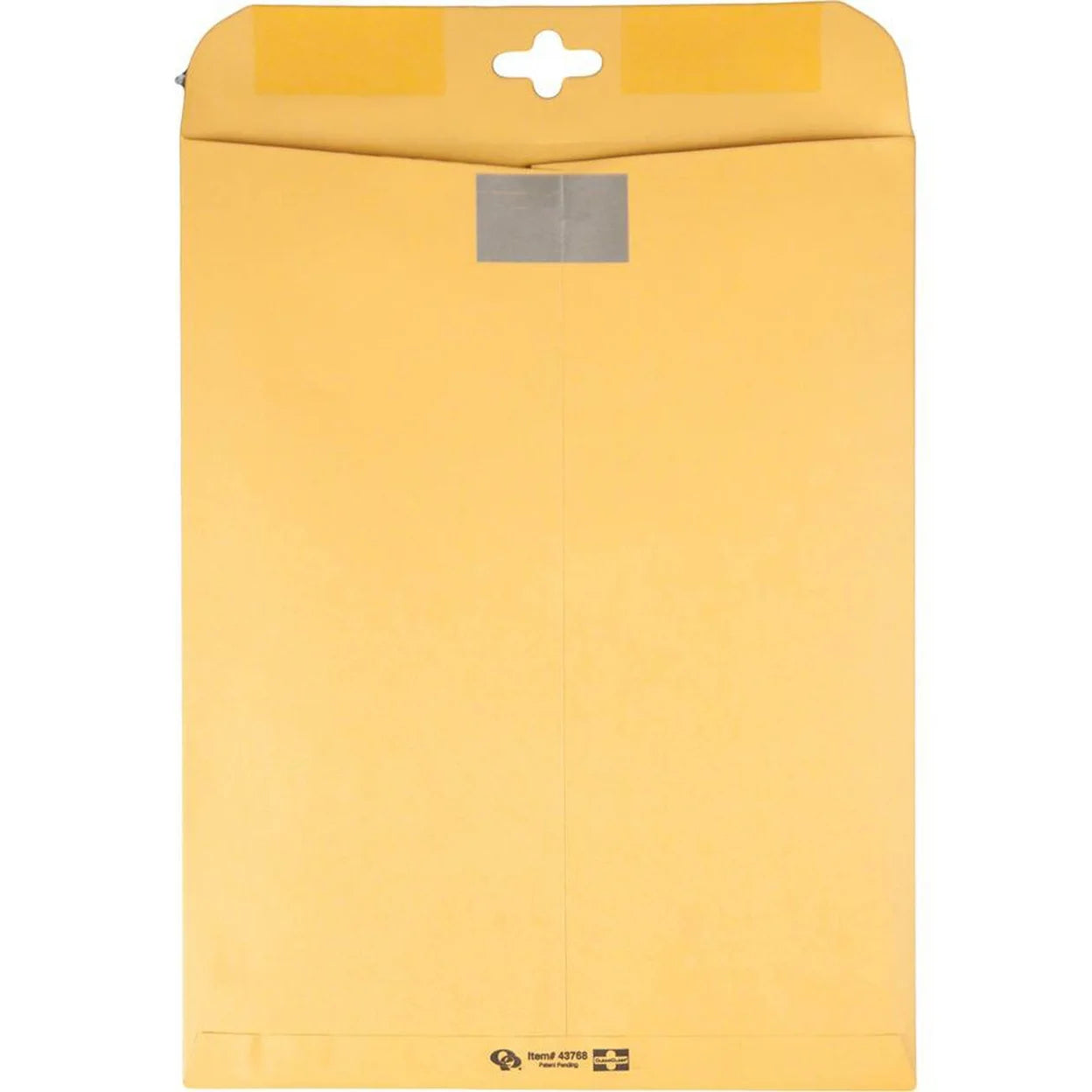 Brown Kraft Envelopes, 10 x 13, 100/Box R16869